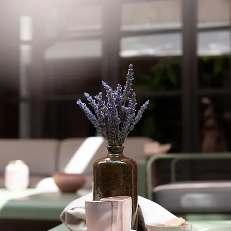 Brit Privilege Le Victoria Boutique Hotel Hotel Saint-Paul-Trois-Chateaux